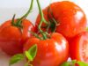 Are Tomatoes Low FODMAP? (A Science-Backed, User-Friendly Guide for IBS)