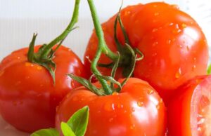 Are Tomatoes Low FODMAP? (A Science-Backed, User-Friendly Guide for IBS)