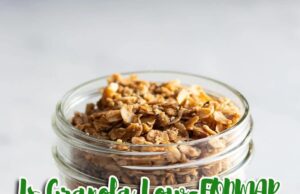 Is Granola Low FODMAP? A Crunchy Question Worth Exploring Is Granola Low FODMAP
