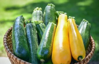 Is Squash Keto? The Surprising Truth About This Comforting Vegetable Is squash keto
