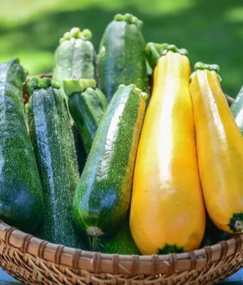 Is Squash Keto? The Surprising Truth About This Comforting Vegetable Is squash keto