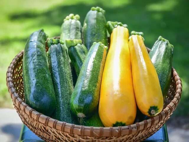 Is squash keto