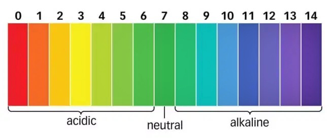 Soy Sauce acidity